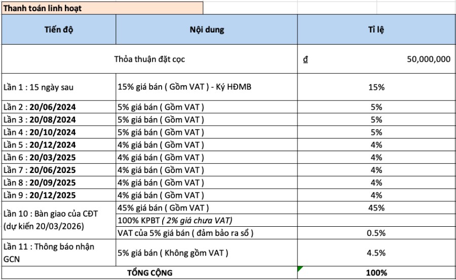 tiến độ thanh toán linh hoạt không vay